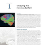 دانلود کتاب Neuroscience 6th Edition