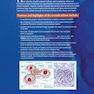دانلود کتاب Histology: A Text and Atlas: With Correlated Cell and Molecular ... 