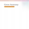 دانلود کتاب BRS Gross Anatomy (Board Review Series) Ninth, North American Editio ... 