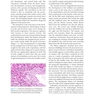 دانلود کتاب Pathology of Liver Diseases