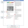 دانلود کتاب Thieme Test Prep for the USMLE®: Medical Histology and Embryology Q- ... 