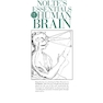 دانلود کتاب Nolte’s Essentials of the Human Brain 2nd Edition2018 مغز انسان