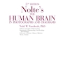 دانلود کتاب Nolte’s The Human Brain in Photographs and Diagrams, 5th Edition2019 ... 
