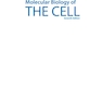 دانلود کتاب Molecular Biology of the Cell