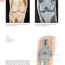دانلود کتاب Anatomy: A Photographic Atlas