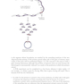 دانلود کتاب Gene Cloning and DNA Analysis: An Introduction (کلون سازی ژن)