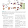 دانلود کتاب Basic Immunology: Functions and Disorders of the Immune System