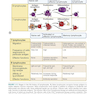 دانلود کتاب کتاب Basic Immunology: Functions and Disorders of the Immune System