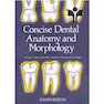 دانلود کتاب Concise Dental Anatomy and Morphology