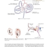 دانلود کتاب Diseases of Ear, Nose and Throat