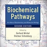 دانلود کتاب Biochemical Pathways : An Atlas of Biochemistry and Molecular Biolog ... 