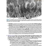 دانلود کتاب BRS Cell Biology and Histology (Board Review Series) Eighth Edition2 ... 