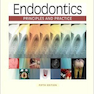 دانلود کتاب Endodontics : Principles and Practice