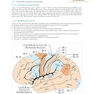 دانلود کتاب Handbook of Neurosurgery