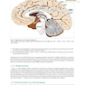 دانلود کتاب Handbook of Neurosurgery