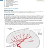 دانلود کتاب Handbook of Neurosurgery2020  9th Edition