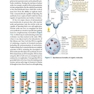 دانلود کتاب The Cell: A Molecular Approach 8th Edition 2019