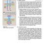 دانلود کتاب Lippincott® Illustrated Reviews: Physiology (Lippincott Illustrated  ... 