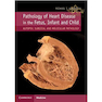 دانلود کتاب 2019 Pathology of Heart Disease in the Fetus, Infant and Child: Auto ... 