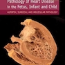 دانلود کتاب 2019 Pathology of Heart Disease in the Fetus, Infant and Child: Auto ... 