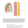 دانلود کتاب Facial Danger Zones: Staying safe with surgery, fillers, and non-inv ... 