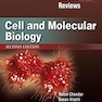 دانلود کتاب 2019 Lippincott Illustrated Reviews: Cell and Molecular Biology (Lip ... 