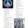 دانلود کتاب Cognitive Neuroscience: The Biology of the Mind (Fifth Edition) Fift ... 