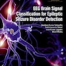 دانلود کتاب EEG Brain Signal Classification for Epileptic Seizure Disorder Detec ... 