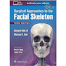 دانلود کتاب Surgical Approaches to the Facial Skeleton Third Edition روش های جرا ... 