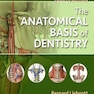دانلود کتاب 2018 The Anatomical Basis of Dentistry 4th Edition مبانی آناتومیک دن ... 