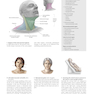 دانلود کتاب 2020 Head, Neck, and Neuroanatomy (THIEME Atlas of Anatomy) 3rd Edit ... 