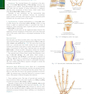 دانلود کتاب Bontrager’s Textbook of Radiographic Positioning and Related Anatomy ... 
