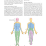 دانلود کتاب Gray’s Surface Anatomy and Ultrasound: A Foundation for Clinical Pra ... 