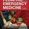 دانلود کتاب Strange and Schafermeyer’s Pediatric Emergency Medicine, 4th Edition ... 
