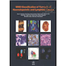 دانلود کتاب WHO Classification of Tumours of Haematopoietic and Lymphoid Tissues ... 