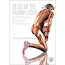 دانلود کتاب Atlas of the Human Body: Central Nervous System and Vascularization  ... 