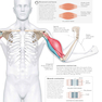 دانلود کتاب Science of Yoga: Understand the Anatomy and Physiology to Perfect Yo ... 