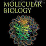 دانلود کتاب Principles of Molecular Biology, 1st Edition2012