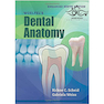 دانلود کتاب Woelfels Dental Anatomy Ninth Edition 2017