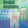 دانلود کتاب Woelfels Dental Anatomy Ninth Edition 2017