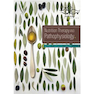 دانلود کتاب Nutrition Therapy and Pathophysiology, 3rd Edition2015 تغذیه درمانی  ... 
