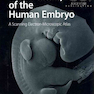 دانلود کتاب The Anatomy of the Human Embryo: A Scanning Electron-Microscopic Atl ... 