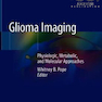 دانلود کتاب Glioma Imaging: Physiologic, Metabolic, and Molecular Approaches2019 ... 