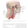 دانلود کتاب CURRENT Diagnosis - Treatment Otolaryngology-Head and Neck Surgery 4 ... 