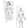 دانلود کتاب The Netter’s Anatomy Coloring PDF, 2th edition