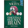 دانلود کتاب Nolte’s Essentials of the Human Brain 2nd Edition2018 مغز انسان