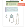 دانلود کتاب Medical Terminology - Anatomy for Coding 4th Edition2020