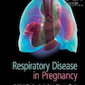 دانلود کتاب Respiratory Disease in Pregnancy 1st Edition2020 بیماری تنفسی در بار ... 