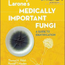دانلود کتاب Larone’s Medically Important Fungi: A Guide to Identification Sixth  ... 