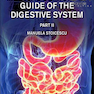 دانلود کتاب Medical Semiology of the Digestive System Part II2020 نشانه شناسی پز ... 